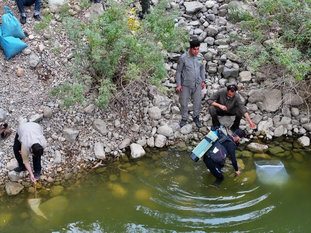 بررسی زیستی و فیزیکوشیمیایی یک پهنه آبی ناشناخته در خوزستان