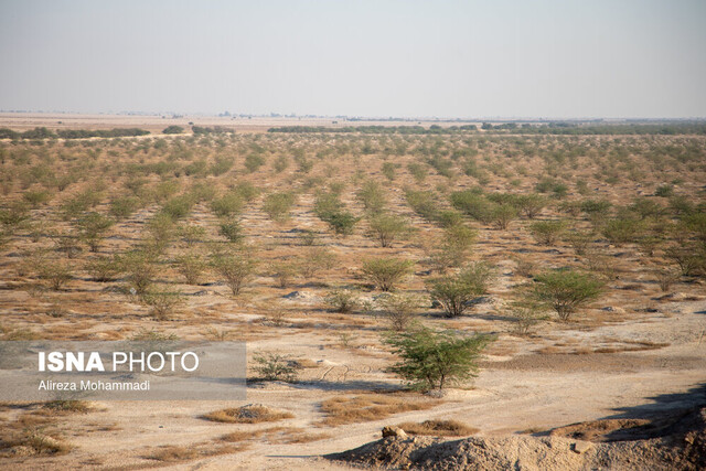 عکس تزئینی است حفظ محیط زیست، ضرورتی انکارناپذیر برای توسعه صنعتی زنجان