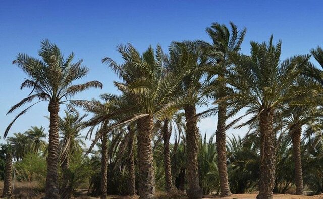 روستای «شلحه» میتواند به مقصد گردشگری تبدیل شود