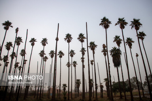 آلودگی هوای اهواز هوای ۱۰ شهر خوزستان آلوده است/ وضعیت «ناسالم» در ۵ شهر