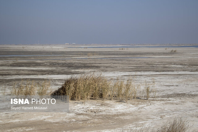 خشکی تالاب هورالعظیم کانونهای ریزگرد خوزستان دامنگیر همه ایران خواهد شد