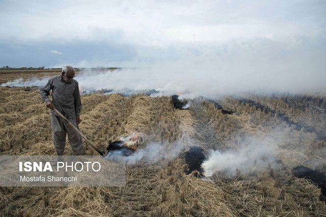 عکس از آرشیو معرفی ۵۰ نفر از کشاورزان عامل آتشسوزی مزارع اهواز به مراجع قضایی
