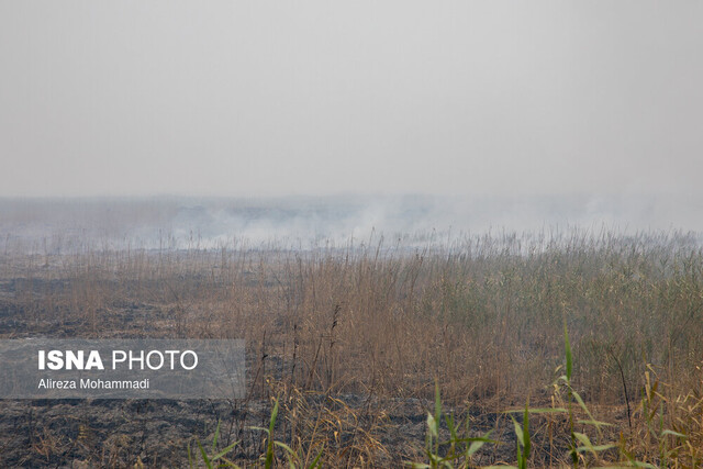 آتشسوزی در هورالعظیم تاخیر در آغاز فعالیت ادارات و مراکز آموزشی شش شهر خوزستان در روز دوشنبه