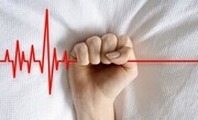 روند شاخص‌های خودکشی در بوشهر کاهشی است