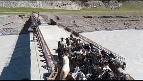 تکمیل پل کول دزفول به عنوان بزرگترین طرح عشایری کشور