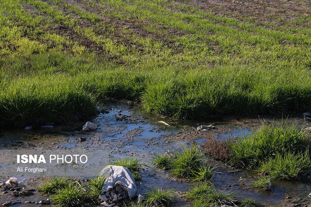 وضعیت نگرانکننده آلودگی آب و خاک خوزستان/ لزوم نظارت بر فروشگاههای سم و کود وضعیت نگرانکننده آلودگی آب و خاک خوزستان/ لزوم نظارت بر فروشگاههای سم و کود