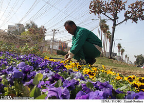 کاشت باغچه‌های فصلی در اهواز از نیمه آبان