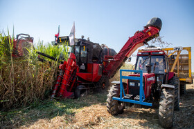 آیین شکرانه برداشت نیشکر با حضور محمد جعفر قائم پناه معاون اجرایی رئیس جمهور