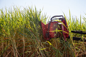آیین شکرانه برداشت نیشکر با حضور محمد جعفر قائم پناه معاون اجرایی رئیس جمهور