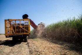 آیین شکرانه برداشت نیشکر با حضور محمد جعفر قائم پناه معاون اجرایی رئیس جمهور