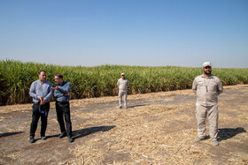 در حاشیه آیین شکرانه برداشت نیشکر با حضور محمد جعفر قائم پناه معاون اجرایی رئیس جمهور