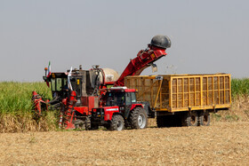 آیین شکرانه برداشت نیشکر با حضور محمد جعفر قائم پناه معاون اجرایی رئیس جمهور