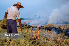 آتش زدن مزارع برنج، عامل نخست آلودگی اخیر هوای خوزستان/ تاکید به نیشکر و نفت برای کنترل آلایندگی
