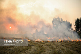 اعلام ممنوعیت سوزاندن بقایای مزارع و محصولات کشاورزی در خوزستان