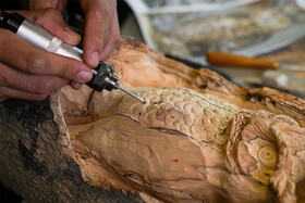 درختان خشکیده اهواز پیکرتراشی می‌شوند