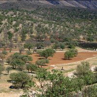 تبدیل بزرگ‌ترین ایستگاه تحقیقات جنگل کردستان به زباله‌دانی