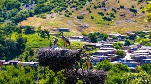 گردشگری کردستان شایسته برندسازی است 3
