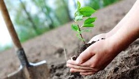 منابع طبیعی بستر حیات و زیر بنای توسعه هر کشور است