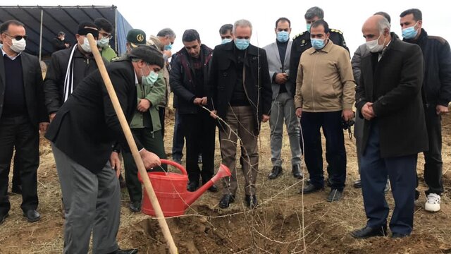 آغاز عملیات بیولوژیک توسعه جنگل در ۲ هزار هکتار از مناطق کردستان 
