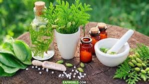 ۲۰گونه شاخص از گیاهان دارویی  کردستان تجاری سازی می شود