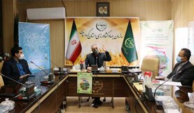 منابع طبیعی تجدید شونده زیربنای توسعه پایدار جوامع است