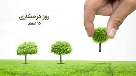 5 هزار اصله نهال در پارکهای جنگلی سطح شهر سنندج غرس می شود
