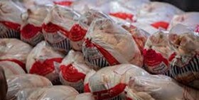 توزیع 1485 تن مرغ منجمد در کردستان