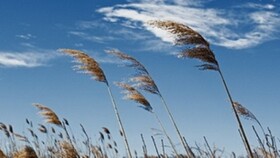 افزایش ملایم دما در کردستان

