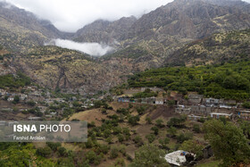 اورامان در ویترین جهانی