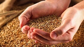 پرداخت 26 میلیارد تومان زکات توسط کردستانی‌ها