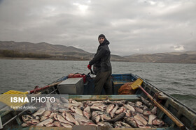 صید ماهی در منابع آبی توسط ۴۲۰صیاد کردستانی