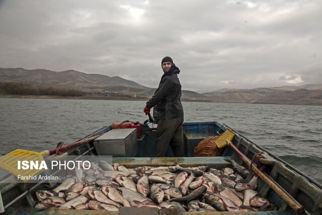 صید ماهی در منابع آبی توسط ۴۲۰صیاد کردستانی