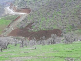 رفع تصرف ۳۲۶ هکتار از عرصه‌های طبیعی کردستان