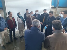 تغذیه گرایی در سد قشلاق عامل ایجاد طعم و بو در آب است