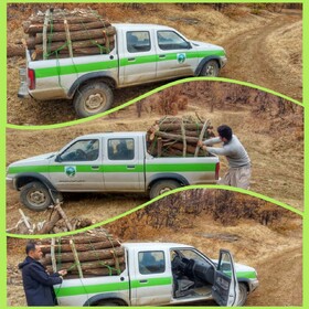 یک محموله چوب قاچاق در مریوان کشف شد