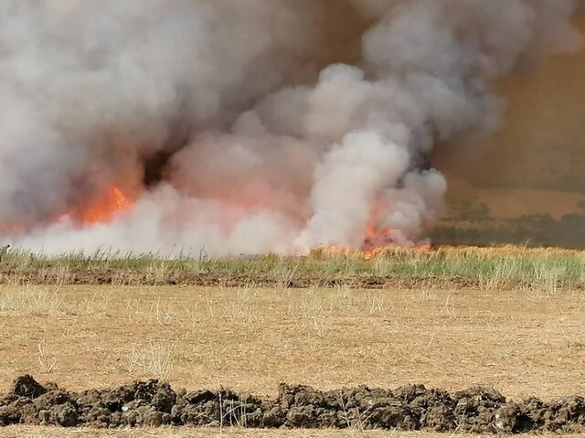 عکس،آرشیوی است. باران نجات بخش زریوار شد