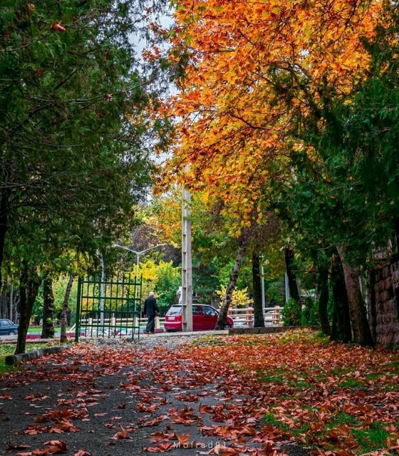 آیا پاییز فصل غمها است؟