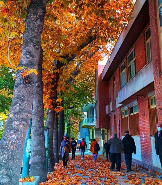 آیا پاییز فصل غمها است؟