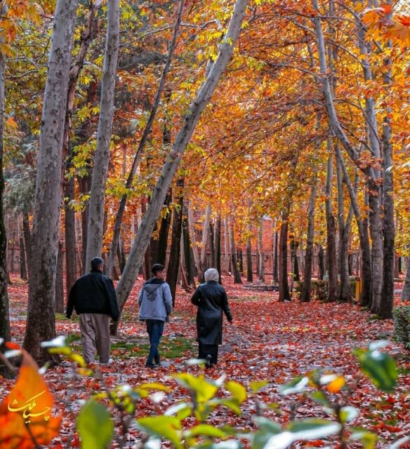 آیا پاییز فصل غمها است؟