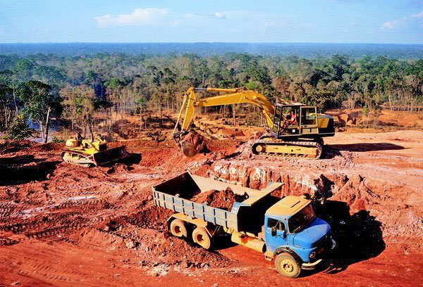 تنوع زیستی کردستان در حال نابودی است تنوع زیستی کردستان در حال نابودی است