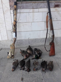 شکارچیان غیرمجاز در سد تلوار بیجار دستگیر شدند