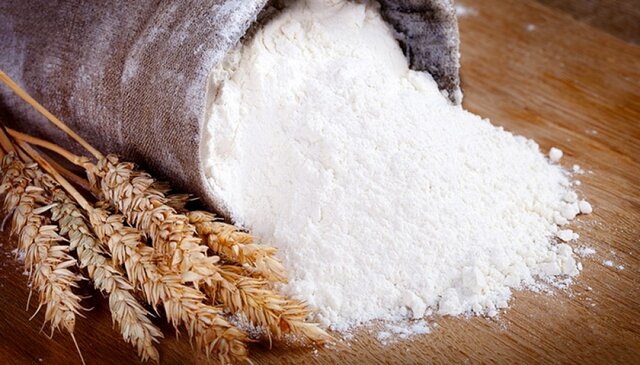 از قطعات خودرو تا خوراک دام؛ روایت توسعه صنعتی ایران با تکیه بر تعاون و سرمایهگذاری داخلی