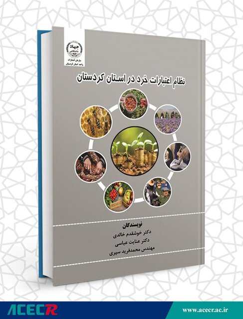 بهره گیری از نظام اعتبارات خرد نرخ بیکاری را کاهش می دهد