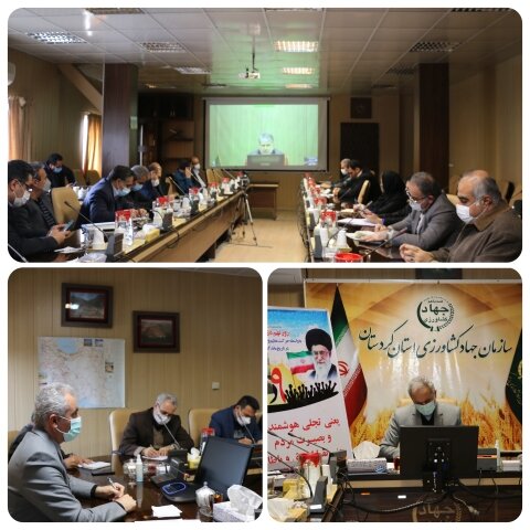 ذخیره کافی مرغ و گوشت قرمز در کردستان