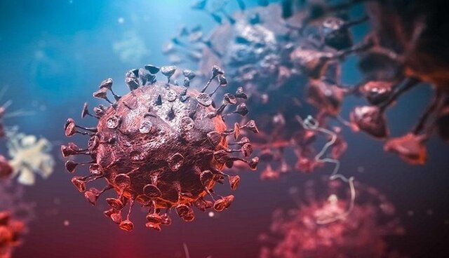 شناسایی ۳۲ بیمار جدید مبتلا به کرونا در ۲۴ ساعت گذشته/ ۱ بیمار جان باخت شناسایی ۳۲ بیمار جدید مبتلا به کرونا در ۲۴ ساعت گذشته/ ۱ بیمار جان باخت