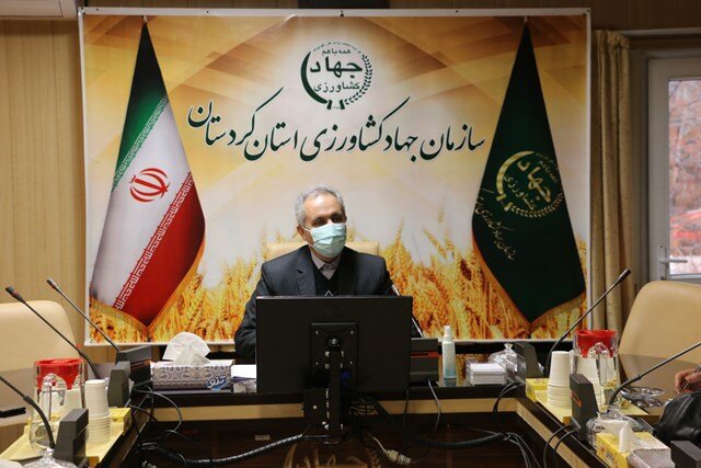 صادرات گندم کردستان به ۱۴ استان کشور