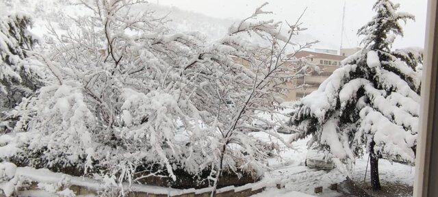 شهرداری شیرینی بارش برف را به کام شهروندان تلخ کرد/کمبود تاکسی در سنندج بحران جدید بارش برف