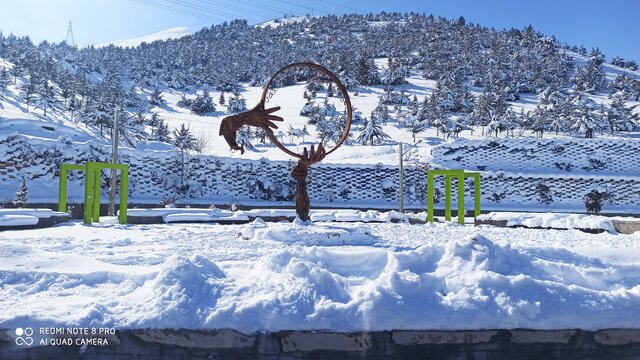 جمعه برفی در کردستان