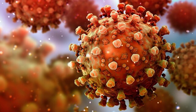 شناسایی 279 بیمار جدید مبتلا به کرونا در کردستان شناسایی 279 بیمار جدید مبتلا به کرونا در کردستان