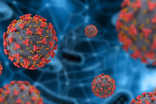 وضعیت کرونا در ۴ شهر کردستان قرمز شد/ ۱۰ درصد کودکان زیر ۱۲ سال واکسینه شدند وضعیت کرونا در ۴ شهر کردستان قرمز شد/ ۱۰ درصد کودکان زیر ۱۲ سال واکسینه شدند